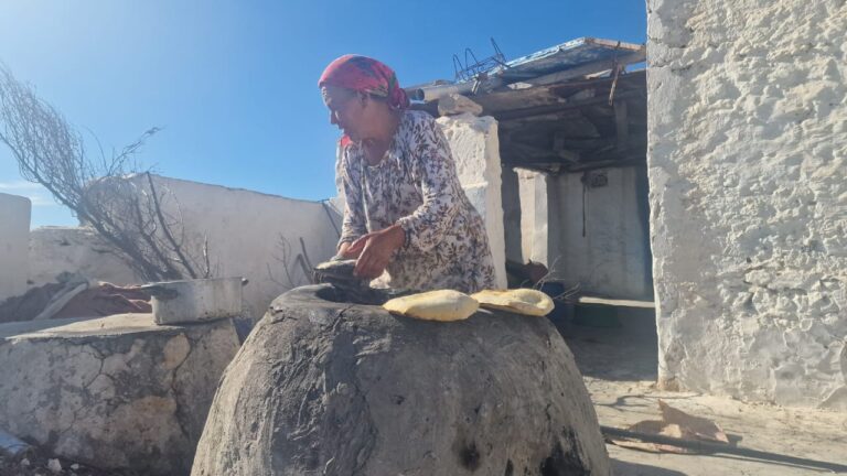 Le Sud tunisien, c’est une expérience en soi. C’est un lieu où le désert ne se contente pas d’être un paysage, mais devient un univers à part entière, habité de silence, de lumière et de traditions séculaires. Chez Sud Tunisie, nous proposons des circuits désert personnalisés, en petit groupe ou en privé, avec départ depuis l’adresse de votre choix en Tunisie (Tunis, Sousse, Hammamet, Monastir, Djerba, Tozeur, etc.). Que vous soyez tenté par une simple excursion de 2 jours / 1 nuit, un voyage immersif de 5 à 8 jours, ou même un séjour à la carte, tout est possible. Chaque détail est pensé pour que votre voyage au sud tunisien ne soit pas une simple visite touristique, mais un moment suspendu, entre dunes dorées, oasis de montagne, ksour perchés et villages troglodytiques. Embarquez avec nous, et laissez-vous porter. 🌵 Pourquoi partir en circuit dans le Sud Tunisien ? Une terre d’émotions brutes Le Sud tunisien vous embarque dans un monde entre ciel et sable, aux antipodes des stations balnéaires classiques. Ici, les paysages vous surprennent à chaque virage : Douz, la "porte du désert", d'où l'on part pour bivouaquer sous les étoiles Ksar Ghilane, une oasis ensablée avec source chaude naturelle Chott El Jerid, immense lac salé aux mirages saisissants Tozeur, ville ocre et palmeraies, avec ses médinas typiques Chebika, Tamerza, Mides, oasis de montagne sculptées par l’eau Chenini, Douiret, villages berbères perchés sur les crêtes Matmata, ses habitations troglodytes où le temps semble suspendu Et ce n’est qu’un début. Tout est modulable selon votre rythme, vos envies, votre durée de séjour. 🏜️ Circuits désert Tunisie dès 2 jours / 1 nuit : l’essentiel en format compact Même avec peu de temps, on peut s’immerger dans la magie du désert. C’est pourquoi nous proposons des circuits désert dès 2 jours / 1 nuit, avec un itinéraire entièrement personnalisable. Exemple de circuit 2 jours / 1 nuit au départ de Djerba ou Gabès : Jour 1 : Départ matinal depuis votre adresse Route vers Douz avec arrêt photo au Chott el-Jérid Départ en 4x4 ou à dos de dromadaire dans l’erg oriental Bivouac saharien : feu de camp, pain cuit sous la cendre, ciel étoilé Jour 2 : Réveil dans le silence du désert Option balade matinale à dos de dromadaire Arrêt à Ksar Ghilane : bain dans la source chaude, visite du fort romain Retour en fin d’après-midi à votre adresse ➡️ Ce format permet d'avoir un avant-goût profond du Sahara même si vous êtes limité dans le temps. Idéal en couple, en famille ou entre amis. Plus de détails ici : Circuits désert personnalisés 🌄 Circuits 5 à 8 jours : l’expérience saharienne en grand format Pour ceux qui veulent vraiment prendre le temps, s’éloigner du rythme effréné du quotidien et vivre le Sahara dans sa richesse plurielle, nous proposons des circuits étendus. Exemple d’itinéraire 6 jours au départ de Tunis, Sfax ou Djerba : Jour 1 : Tunis → Douz Accueil à votre hôtel / domicile Route panoramique vers le sud avec escale au Chott el-Jérid Arrivée à Douz, nuit en maison d’hôtes Jour 2 : Douz → Sahara profond Départ en 4x4 ou dromadaire dans l’erg Déjeuner saharien, sieste sous les tamaris Dîner au feu de camp, nuit en bivouac Jour 3 : Ksar Ghilane → Matmata Oasis, source chaude Route vers les plateaux berbères Nuit troglodyte à Matmata Jour 4 : Chenini – Douiret – Tataouine Villages berbères Visite de ksour perchés Nuit à Tataouine ou Chenini Jour 5 : Tamezret → Oasis de montagne Route vers Chebika / Tamerza Balade dans les canyons et cascades Nuit à Tozeur Jour 6 : Palmeraie de Tozeur → retour Balade à vélo ou calèche dans la palmeraie Temps libre selon vos horaires de retour Transfert vers votre ville d’origine ➡️ Ce type de circuit offre un aperçu complet du Sud tunisien, entre désert, montagne, culture et rencontre. 🚙 Transferts personnalisés et départ depuis l'adresse de votre choix L’un de nos atouts majeurs ? La flexibilité totale du point de départ. Que vous logiez à Tunis, Hammamet, Sousse, Monastir, Gabès, Djerba ou Tozeur, nous venons vous chercher à votre hôtel, aéroport ou maison, à l’heure qui vous arrange. Pas de stress logistique, tout est pris en charge : Navette climatisée privée Horaires adaptés à vos vols Petites pauses sur la route pour admirer les paysages Possibilité de transfert retour vers une autre ville Nos circuits s’adressent autant aux touristes qu’aux Tunisiens souhaitant redécouvrir leur pays autrement, loin des circuits classiques. 🏕️ Dormir dans le désert : bivouac nomade ou camp confort Dormir dans le Sahara, c’est l’un des grands moments d’un voyage au Sud tunisien. Selon vos envies et votre niveau de confort recherché, nous proposons plusieurs options d’hébergement en plein désert : Bivouac nomade : tente traditionnelle, feu de camp, dîner saharien simple et authentique, toilettes sèches, douche sommaire. Campement confort : lits, sanitaires, douches, électricité, tout en conservant l’ambiance saharienne. Maisons d’hôtes typiques à Tozeur, Douz, Chenini, Matmata ou Tataouine pour les nuits hors désert. 🧡 Envie d’une nuit vraiment spéciale ? On vous installe au cœur des dunes, là où aucun bruit ne vient troubler le silence du désert. 🥘 Cuisine locale & immersion culturelle On ne voyage pas au Sud tunisien sans goûter à sa cuisine de terroir, généreuse et savoureuse : Couscous à l’agneau, cuit lentement dans la marmite Tajine berbère, aux œufs, pommes de terre et épices Ojja, avec merguez, poivrons et œufs Pain tabouna préparé au feu de bois Thé à la menthe, dattes Deglet Nour, olives, miel… Tout est préparé sur place avec des produits locaux. Nos guides et chauffeurs sont également là pour vous raconter les histoires, les traditions et la vie des populations du Sud. 🎒 Que prévoir pour votre circuit désert ? Conseils pratiques Voici quelques essentiels pour un circuit confortable dans le Sud tunisien : Chaussures de marche ou baskets Vêtements légers pour la journée, veste chaude pour la nuit Chèche ou foulard (souvent fourni) Lunettes de soleil, crème solaire Gourde ou bouteille réutilisable Appareil photo ou smartphone avec bonne autonomie Sac souple plutôt que valise rigide Pour les treks : petit sac à dos, frontale, encas 🌞 Ne vous inquiétez pas, nos équipes vous briefent avant le départ pour que rien ne manque ! 📝 Réserver votre circuit au Sud tunisien : simple et rapide Envie de partir ? C’est le bon moment. Nous vous proposons de faire une demande de devis gratuite et sans engagement ici : 👉 Demander un devis circuit Sud tunisien Vous pouvez y indiquer : Votre point de départ Vos dates La durée du circuit souhaité Le nombre de personnes Vos centres d’intérêt (marche, photo, culture, etc.) Ensuite, on vous propose un programme sur mesure, que vous pouvez ajuster à volonté. Transparence, adaptabilité et service personnalisé sont au cœur de notre approche. 💬 Votre avis compte : laissez votre commentaire après le voyage Votre retour est essentiel. Que vous ayez aimé le coucher de soleil à Douz, l’accueil à Tozeur, la balade dans le canyon de Mides ou le pain chaud partagé autour du feu, vous pouvez nous laisser un avis ici : 👉 Laisser un commentaire sur TripAdvisor Cela aide d’autres voyageurs à découvrir notre belle région et nous permet de toujours faire mieux. 🌍 En résumé : pourquoi choisir un circuit au Sud tunisien avec nous ? Départ depuis l’adresse de votre choix en Tunisie Circuits personnalisés : 2 jours / 1 nuit ou jusqu’à 8 jours Hébergements en bivouac, camp ou maisons d’hôtes Cuisine locale, rencontres authentiques, guides passionnés Petits groupes, rythme souple, voyage respectueux des lieux Vous trouverez toutes les inspirations ici : 🔗 Nos circuits désert sur sudtunisie.com Le Sud tunisien vous attend. Avec nous, vous ne visitez pas le désert, vous le vivez.