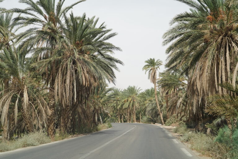 Plonger dans le Sahara Sud de la Tunisie n’est pas un simple voyage : c’est une parenthèse hors du temps, un bain d’authenticité, une immersion dans des paysages à couper le souffle et des traditions millénaires. Chez SudTunisie.com, nous dessinons des circuits et excursions sur mesure qui relient dunes blondes, oasis de montagne, ksour fortifiés, gorges secrètes et villages troglodytes. Notre promesse ? Vous faire vivre un Sud tunisien vrai, chaleureux et parfaitement organisé, au départ de Tunis, Hammamet, Sousse, Monastir, Sfax, Djerba, Gabès, Bizerte, Kélibia et Korba. Pourquoi choisir SudTunisie.com pour votre circuit dans le Sahara tunisien ? Nous mettons la barre haut pour chaque itinéraire. Guides francophones passionnés, chauffeurs 4×4 rompus aux pistes, choix d’hébergements authentiques (tentes bédouines, maisons d’hôtes, hôtels de charme), cuisine locale savoureuse, attentions au quotidien… tout est pensé pour transformer votre voyage en expérience mémorable et confortable. Accompagnement expert : conseils avant départ, accueil personnalisé, assistance 24/7. Flexibilité totale : circuits privés modulables (durée, rythme, hébergements, activités). Authenticité garantie : rencontres, artisanats, traditions, couchers de soleil dans les dunes. Logistique fluide : transferts ponctuels et service de navette aéroport pour rejoindre facilement votre point de départ. Pour un aperçu des propositions, explorez nos circuits désert : vous y trouverez des itinéraires détaillés prêts à être personnalisés. Les perles du Sud tunisien à ne pas manquer Douz, la porte du désert Douz ouvre les bras du Sahara. Ses dunes ondulantes, ses balades à dos de dromadaire au coucher du soleil et son marché traditionnel posent le décor d’une première rencontre avec l’immensité. C’est souvent ici que débute un bivouac sous les étoiles, autour d’un feu de camp et d’un pain cuit dans le sable. Tozeur, la palmeraie et les oasis de montagne Cap sur Tozeur, ses façades en briques ocre, ses palmeraies murmureuses et ses oasis de montagne : Chebika, Tamerza, Mides. Entre canyons, belvédères et gueltas, ces escales offrent un combiné rare de fraîcheur, minéralité et panoramas vertigineux. Les amateurs de marche adoreront nos sorties randonnée montagne Sahara avec des itinéraires adaptés au niveau de chacun. Matmata, le monde troglodyte Creusées dans la roche, les habitations troglodytes racontent une adaptation ingénieuse au climat. Ici, l’architecture se confond avec la terre. La visite de Matmata est un temps fort culturel où histoire, cinéma et patrimoine se rencontrent. Ksar Ghilane, l’oasis aux eaux chaudes Ksar Ghilane, c’est l’écrin exotique par excellence : un lac d’eau thermale au milieu des dunes, des pistes 4×4 qui serpentent entre les palmeraies, la possibilité d’une nuit en campement bédouin au plus près du silence saharien. Sensations garanties. Pour décliner ces “incontournables” selon votre temps disponible, consultez nos sélections excursions en Tunisie . Nos types de circuits désert : du confort à l’aventure Circuits découverte (2 à 4 jours) Pensés pour une première approche, ils combinent Douz – Matmata – Ksar Ghilane – Tozeur. Rythme équilibré, hébergements confortables, moments coup de cœur : balade en dromadaire, traversée du Chott El-Jérid, thé bédouin au bivouac. ➡ Démarrez votre inspiration ici : circuits désert . Aventure 4×4 et bivouacs Pour vivre le Sahara hors des sentiers battus, nos itinéraires 4×4 tracent de belles diagonales : pistes sablonneuses, ergs, regs, fortins et ksour oubliés. Bivouacs confort (tentes équipées, repas cuisinés, ciel pur) ou version plus nomade pour les puristes. ➡ Envie de marcher ? Parcourez nos sorties randonnée montagne Sahara . Immersion culturelle et terroirs Haltes chez l’habitant, ateliers de poterie, découverte des dattes de Tozeur, artisanat du cuir, musique traditionnelle… Nous soignons ces touches humaines qui transforment un itinéraire en rencontre. Exemples d’itinéraires populaires (100 % personnalisables) 2 jours – Douz & Matmata (départ de Sousse/Monastir/Sfax/Djerba) Jour 1 : Route vers Douz, promenade en dromadaire, coucher de soleil sur l’erg, dîner autour du feu, nuit sous tente. Jour 2 : Matmata et ses maisons troglodytes, déjeuner traditionnel, retour. 3 jours – Tozeur, Chebika, Tamerza, Douz (départ de Tunis/Hammamet/Bizerte/Kélibia/Korba) Jour 1 : Découverte de Chebika (village et oasis), Tamerza (cascade) et Mides (gorge). Jour 2 : Chott El-Jérid, arrivée à Douz, dunes & coucher de soleil. Jour 3 : Visite d’artisans, temps libre en palmeraie, retour. 4 jours – Djerba, Ksar Ghilane, Matmata, Douz & Tozeur Jour 1 : Djerba → Ksar Ghilane (bain thermal, quad optionnel), nuit au camp. Jour 2 : Piste vers Matmata, déjeuner chez l’habitant, route Douz. Jour 3 : Chott El-Jérid, Tozeur by night. Jour 4 : Palmeraie, vieilles médinas, retour. Vous souhaitez un programme plus sportif, plus gastronomique ou centré photo ? Parcourez notre blog excursions Tunisie pour des idées thématiques, puis demandez votre devis gratuit. Départs garantis et transferts fluides depuis votre ville Nous organisons vos départs depuis Tunis, Hammamet, Sousse, Monastir, Sfax, Djerba, Gabès, Bizerte, Kélibia et Korba. Selon le circuit, vous rejoignez Tozeur, Douz ou Djerba en minibus privé ou 4×4, avec pauses-photo et découvertes en chemin. Besoin d’un transfert depuis l’aéroport ? Gagnez du temps grâce à notre service de navette aéroport (accueil, sièges enfants sur demande, assistance bagages). Expériences qui font la différence Couchers de soleil sur les dunes : lumière dorée, horizon infini, silence enveloppant. Bivouac bédouin : pain de sable, grillades, contes au coin du feu, voûte étoilée. Marches douces dans les palmeraies : irrigation ancestrale, senteurs de dattes et d’herbes fraîches. Traversées 4×4 : sensation de liberté entre ergs et regs, chotts et pistes oubliées. Rencontres : artisans, agriculteurs, musiciens, familles… de quoi donner un visage au désert. Pour choisir votre style d’aventure, comparez nos excursions en Tunisie et nos circuits désert , puis affinez avec un conseiller. Logistique, confort et sécurité : notre signature Hébergements : campements de charme, tentes privatives, sanitaires dédiés, maisons d’hôtes sélectionnées. Repas : cuisine locale (couscous, tajines, méchoui, salades du Sud), options végétariennes/végétaliennes sur demande. Matériel : 4×4 entretenus, radios, trousse de secours, équipe formée aux premiers gestes. Sécurité : repérages réguliers, plan B météo, coordination locale permanente. Pour approfondir certaines zones à pied et accéder à des panoramas confidentiels, optez pour nos sorties nature : randonnée montagne Sahara . Quand partir, quoi emporter, à quoi s’attendre ? Saisons : l’automne et le printemps offrent des températures idéales. L’hiver est parfait pour le bivouac (nuits fraîches, ciel pur). L’été convient aux lèves-tôt et aux passionnés de lumières intenses. Bagages : vêtements légers + couche chaude pour le soir, foulard/chèche, lunettes de soleil, crème solaire, chaussures type trail ou marche souple, gourde réutilisable, petite pharmacie personnelle. Photo & drone : batteries supplémentaires, respect des zones autorisées. Attentes : on roule, on marche, on contemple. Le désert relie au simple et à l’essentiel ; on déconnecte, on respire, on profite. Des récits inspirants et des conseils détaillés sont partagés sur notre blog excursions Tunisie . Transparence tarifaire et devis rapide Chaque demande est unique : période, taille du groupe, niveau de confort, activités optionnelles (quad, cheval, sandboard, hamac sous les étoiles…). Nos conseillers vous répondent vite et clairement. ➡ Recevez une proposition personnalisée : devis voyage désert – gratuit . ➡ Jetez un œil à nos circuits désert prêts à réserver pour vous projeter. La parole à nos voyageurs Rien ne remplace les retours de ceux qui nous ont déjà confié leurs vacances. Leurs mots parlent d’émotion vraie, de soin apporté aux détails et de professionnalisme. Consultez les témoignages : avis clients sur TripAdvisor . FAQ – Circuits et excursions Sahara Sud Tunisie Combien de jours pour “bien voir” le Sud ? En 2 à 3 jours, vous touchez l’essentiel (Douz, Matmata, un bivouac). En 4 à 5 jours, vous ajoutez Tozeur et les oasis de montagne. Au-delà, on entre dans la grande itinérance (pistes, ergs, ksour). Voyage en famille possible ? Bien sûr. Nous adaptons distances, hébergements, repas et activités (balades courtes à dos de dromadaire, ateliers artisanaux, mini-randos). Faut-il être sportif ? Non, sauf sur des circuits explicitement orientés randonnée. Vous pouvez choisir un rythme contemplatif avec peu de marche, ou au contraire viser des randonnées en montagne (voir : randonnée montagne Sahara ). Qu’en est-il de la sécurité ? Itinéraires évalués, équipe locale expérimentée, communication permanente, véhicules révisés. Nous ajustons les parcours en fonction des conditions du moment. D’où partez-vous ? Nous proposons des départs de Tunis, Hammamet, Sousse, Monastir, Sfax, Djerba, Gabès, Bizerte, Kélibia, Korba. Transferts aéroports assurés par notre navette dédiée . Peut-on privatiser un circuit ? Oui, c’est même notre spécialité. Circuits 100 % privés, modulables à volonté. Démarrez ici : circuits désert et devis gratuit . Comment réserver votre circuit Sahara avec SudTunisie.com ? Inspirez-vous de nos pages : Circuits désert Excursions en Tunisie Randonnée montagne Sahara Blog excursions Tunisie Précisez votre ville de départ : Tunis, Hammamet, Sousse, Monastir, Sfax, Djerba, Gabès, Bizerte, Kélibia, Korba. Validez les options : niveau d’hébergement, activités, rythme, thématiques (photo, culture, nature, gastronomie). Recevez un itinéraire clair et un tarif net via notre formulaire de devis gratuit . Profitez du départ : accueil, transferts aéroport (service navette ), assistance continue. Votre prochaine grande respiration commence ici Le Sud tunisien est un trésor d’équilibres : minéral et végétal, silence et musique du vent, sobriété des lignes et richesse des rencontres. Avec SudTunisie.com, vous découvrez ce territoire avec respect, précision et bienveillance. Que vous rêviez d’un week-end sous les étoiles, d’un grand voyage itinérant ou d’une parenthèse randonnée entre oasis et canyons, nous bâtissons, pas à pas, l’itinéraire qui vous ressemble. ➡ Lancez votre projet : Circuits désert – SudTunisie.com ➡ Posez vos questions et recevez une offre en quelques heures : devis gratuit / contact ➡ Lisez les retours d’expérience : avis clients TripAdvisor ➡ Préparez-vous avec nos ressources : excursions en Tunisie | randonnées montagne Sahara | blog excursions Tunisie | service de navette aéroport À très vite dans le désert. Le sable garde la mémoire des pas ; les vôtres écriront la plus belle des histoires.