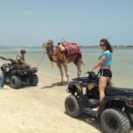 Nous vous invitons aujourd’hui à vivre une excursion exceptionnelle au départ de Tunis ou de Hammamet, qui combine deux sites incontournables de Tunisie : Kairouan, ville sainte au patrimoine islamique incomparable, et Sbeïtla (antique Sufetula), site romain parmi les mieux conservés du pays. En une journée riche en histoire, en exploration et en émotions, notre visite guidée élaborée vous offre un itinéraire complet, confortable et authentique. Pour prolonger votre aventure, découvrez également nos idées de séjours dans le désert : circuits dans le désert . Si vous souhaitez un devis personnalisé : demande de devis gratuit . Pourquoi choisir cette visite guidée Kairouan & Sbeïtla au départ de Tunis/Hammamet ? Nous avons conçu ce programme parce que nous croyons qu’une journée peut faire bien plus que survoler les lieux : elle peut offrir une immersion. Voici ce que nous garantissons : Une prise en charge départ matin depuis Tunis ou Hammamet, avec véhicule climatisé, guide francophone expérimenté. Un rythme pensé pour ne pas courir : temps de route, pauses, déjeuners, visites. Deux styles de patrimoine : l’islamique à Kairouan, le romain à Sbeïtla — une juxtaposition rare qui enrichit la compréhension du pays. Des explications simples et accessibles, sans jargon, pour que chacun reparte avec des clefs, des anecdotes, et pourquoi pas un coup de cœur. La logistique incluse : nous nous occupons des entrées, des déplacements, et vous profitez sans stress. La possibilité d’intégrer cette journée dans un séjour plus long, par exemple un circuit désert ou des randonnées dans les montagnes : randonnée « montagne & Sahara » . Itinéraire détaillé de la journée Départ et route vers Kairouan Nous venons vous chercher tôt le matin à votre hôtel à Tunis ou Hammamet. Le trajet nous mène vers l’intérieur des terres tunisiennes, à travers plaines céréalières, oliveraies et collines douces. Profitez du paysage, de la lumière du matin qui caresse la route. Une première pause est prévue pour vous permettre de vous dégourdir les jambes, prendre un café, ou simplement contempler la campagne tunisoise. Visite de Kairouan : entre foi et architecture Arrivés à Kairouan, nous commençons par la majestueuse Grande Mosquée de Kairouan (Mosquée d’Oqba) : fondée au viiᵉ siècle, elle est un chef-d’œuvre de l’art islamique et classée au patrimoine mondial de l’UNESCO. Wikipédia +1 Nous explorons sa cour, ses portiques, sa salle de prière hypostyle : un espace chargé d’histoire et de symboles. Ensuite, direction les Bassins Aghlabides, gigantesques réservoirs d’eau construits par les souverains aghlabides pour alimenter la ville : un exemple fascinant d’ingénierie islamique ancienne. GetYourGuide Puis, nous flânons dans la médina de Kairouan, ses ruelles animées, ses artisans du cuir, du tapis, ses pâtisseries emblématiques. Une pause déjeuner vous attend dans une table locale, avec plats typiques et ambiance conviviale. Route vers Sbeïtla et visite archéologique Après déjeuner, cap vers Sbeïtla (Sufetula) : environ 100 km de route, soit environ 1 h 30 de trajet selon le trafic. Rome2Rio Arrivés sur le site, nous pénétrons au cœur de la cité romaine anciennement prospère. Le forum à triple temple (temples de Jupiter, Junon, Minerve) est l’un des ensembles les plus remarquables d’Afrique du Nord. Wikipédia +1 Nous découvrons aussi les thermes, les rues pavées, les éléments byzantins et les vestiges de l’époque tardive. Notre guide vous explique comment la ville s’organisait, se défendait et prospérait avant que l’histoire ne la transforme. Retour vers Hammamet/Tunis et fin de la journée En fin d’après-midi, nous amorçons le retour vers votre lieu de départ, avec des halos de lumière dorée qui rendent la route et les reliefs encore plus beaux. Une dernière pause photo est envisagée si le timing le permet. Arrivée à votre hébergement prévue en début de soirée. Les temps forts à ne pas manquer Moment de silence dans la Grande Mosquée : ressentir l’ampleur du lieu, ses colonnes anciennes, le bois sculpté, les plafonds peints. Panorama depuis les bassins Aghlabides : vue sur les remblais, le plan d’eau, et la relation ville-eau. Pause artisanale : échanges spontanés avec un artisan de tapis ou de cuivre dans la médina de Kairouan, voir un bout de démonstration ou comprendre le geste. Forum de Sbeïtla à la lumière dorée : les colonnes sculptées, l’ombre des portiques, la mesure des volumes qui parlent encore. Moment libre pour flâner ou photographier : selon vos envies, votre rythme, votre curiosité. Conseils pratiques pour une journée réussie Habillez-vous confortablement mais avec respect : pour la mosquée, épaules couvertes, jambes couvertes pour ceux qui souhaitent entrer. Chaussures : fermées, à semelle adhérente : des pavés à Kairouan, des sols irréguliers à Sbeïtla. Hydratation & protections : chapeau, lunettes de soleil, crème solaire, bouteille d’eau. Le climat peut être sec et ensoleillé. Appareil photo prêt : cartes mémoire libres, batterie. Vous allez vouloir capturer la lumière, les détails, les perspectives. Respect des lieux religieux : à Kairouan, pendant les moments de prière, il est préférable de rester discret. Timing & énergie : bien que la journée soit dense, nous avons prévu des pauses pour que ce soit agréable, pas épuisant. À qui s’adresse cette visite ? Aux voyageurs qui souhaitent voir deux sites majeurs en une journée, sans courir mais sans perdre en richesse. Aux passionnés d’histoire, d’architecture, d’archéologie, mais aussi à ceux qui aiment simplement découvrir des lieux vivants. Aux familles, aux couples, aux groupes d’amis – nous adaptons le rythme : enfants bienvenus, possibilité de variantes plus douces. À ceux qui veulent ensuite prolonger par un séjour différent : vers le désert, la montagne, ou une randonnée. Et oui, on peut continuer avec nos circuits dans le désert … Comment réserver et ce que nous incluons Pour réserver, il vous suffit de nous indiquer : votre lieu de départ (Tunis ou Hammamet), la date souhaitée, le nombre de participants, vos éventuelles restrictions alimentaires ou besoins particuliers. Nous vous répondrons avec un devis clair et personnalisé : demande de devis gratuit . L’excursion comprend : la prise en charge matinale, le transport aller-retour, le guide francophone, les entrées aux sites (selon formule), le déjeuner (selon option), les pauses planifiées. Option pour privatiser le véhicule, choisir une langue différente ou modifier légerement l’itinéraire. Avis et retours de voyageurs De nombreux visiteurs ont partagé leur satisfaction : notamment via TripAdvisor, vous pouvez consulter les retours sur des excursions combinant Kairouan et Sbeïtla. Ces récits confirment que l’agencement des lieux, la qualité du guide et le rythme font la différence. Voir les avis clients ici Prolonger votre aventure tunisienne Si cette journée vous a donné envie d’aller plus loin, voici quelques idées : Poussez vers le Sud, vivez les dunes, les campements sahariens, les pistes et les étoiles : consultez nos circuits dans le désert . Partez pour une randonnée dans des paysages montagneux ou semi-désertiques : randonnée « montagne & Sahara » . Combinez patrimoine et nature, patrimoine et gastronomie, en construisant un séjour à votre mesure. Conclusion : une journée qui marque, une histoire qui reste Cette excursion « Kairouan & Sbeïtla » au départ de Tunis/Hammamet, c’est bien plus qu’un simple tour touristique : c’est un pont entre deux époques, un dialogue entre pierres et ciel, une immersion dans l’âme tunisienne. Nous vous guidons, mais vous êtes libre de vous imprégner, de ressentir, de poser vos questions et de revenir avec des images marquantes et des impressions durables. Alors, prêtes et prêts pour cette belle journée ?