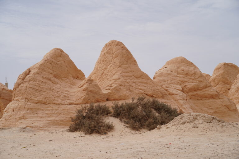 Explorer le Sahara tunisien, ce n’est pas simplement voyager, c’est vivre une expérience profonde, authentique et inoubliable. Nous proposons des circuits et excursions privées dans le désert du Sahara en Tunisie, pensés pour celles et ceux qui veulent sortir des sentiers battus et découvrir le Sud tunisien autrement. Avec sudtunisie.com, chaque voyage devient une immersion réelle dans les paysages, les cultures et les traditions du désert. Notre approche est simple : offrir des circuits personnalisés, humains, confortables et riches en émotions, loin des groupes impersonnels. Que le départ se fasse de Tunis, Hammamet, Sousse, Monastir, Sfax, Djerba, Gabès, Bizerte, Kélibia ou Korba, nous organisons chaque détail pour que l’expérience soit fluide, sécurisée et mémorable. Pourquoi choisir un circuit privé dans le désert du Sahara en Tunisie Opter pour un circuit désert privé en Tunisie, c’est choisir la liberté. Nous adaptons le rythme, les étapes et les activités selon vos envies. Pas de programme rigide : nous voyageons à votre tempo, en prenant le temps d’admirer, de comprendre et de ressentir. Le désert tunisien offre une diversité incroyable : dunes dorées, oasis luxuriantes, villages berbères, montagnes sahariennes, lacs salés et palmeraies millénaires. À travers nos circuits désert Sahara Tunisie, accessibles via 👉 https://sudtunisie.com/voyage/circuits-desert/ nous mettons en valeur cette richesse naturelle et culturelle, sans artifice. Nos guides locaux connaissent le désert comme leur propre maison. Ils partagent des histoires vraies, des anecdotes du quotidien et une vision humaine du Sahara. C’est cette proximité qui fait toute la différence. Des itinéraires sahariens complets et authentiques Nos excursions couvrent les plus beaux sites du Sud tunisien : Douz, Tozeur, Matmata, Tataouine, Ksar Ghilane, Chebika, Tamerza et Ong Jmel. Chaque étape est soigneusement choisie pour son intérêt naturel, historique ou humain. Nous proposons également des expériences uniques comme la randonnée en montagne et dans le Sahara, idéale pour les voyageurs actifs et curieux. Ces parcours sont détaillés ici : 👉 https://sudtunisie.com/voyage/randonnee-montagne-sahara/ Marcher dans le désert, sentir le sable sous ses pieds, écouter le silence… c’est une sensation difficile à décrire mais impossible à oublier. Nous organisons ces randonnées avec un encadrement professionnel, dans le respect total de l’environnement et des traditions locales. Excursion désert Tunisie : une expérience humaine avant tout Nous croyons que le voyage est avant tout une rencontre. Lors de nos excursions en Tunisie, disponibles sur 👉 https://sudtunisie.com/voyage/excursion-en-tunisie/ nous privilégions les échanges avec les habitants, la découverte de la cuisine locale et les moments simples, mais vrais. Passer une nuit dans le désert sous une tente traditionnelle, partager un thé autour du feu, observer les étoiles… ce sont ces instants qui marquent le plus. Le Sahara tunisien offre l’un des ciels nocturnes les plus purs au monde, loin de toute pollution lumineuse. Nos circuits sont conçus pour créer des souvenirs forts, que l’on voyage en couple, en famille ou entre amis. Un départ facile depuis toute la Tunisie Nous facilitons l’organisation dès le départ. Que vous soyez à Tunis, Hammamet, Sousse, Monastir, Sfax, Djerba, Gabès, Bizerte, Kélibia ou Korba, nous assurons les transferts et la logistique. Pour plus de confort, nous proposons aussi un service de navette aéroport fiable et ponctuel : 👉 https://sudtunisie.com/services-navette-aeroport/ Ainsi, vous commencez votre aventure saharienne l’esprit tranquille, sans stress ni perte de temps. Un voyage sur mesure, adapté à vos envies Chaque voyageur est différent, et nous en tenons compte. Nos circuits peuvent être culturels, nature, aventure ou détente. Nous ajustons la durée, le niveau de confort, les activités et même les repas selon vos préférences. Vous souhaitez un circuit court ou un séjour plus long ? Une immersion totale dans le désert ou un mix entre désert, oasis et villes du Sud ? Tout est possible. Il suffit de demander un devis gratuit et personnalisé via 👉 https://sudtunisie.com/devis-voyage-desert-sud-tunisie-vacances-pas-cher-tunisie-sahara-tunisie/ Nous répondons rapidement, avec des propositions claires et adaptées à votre budget. Le Sahara tunisien, une destination sûre et accueillante Le Sud tunisien est une région stable, chaleureuse et accueillante. Les habitants sont fiers de leur terre et heureux de la partager. Voyager avec une équipe locale, c’est aussi contribuer à une économie responsable et durable. Nos circuits respectent les communautés locales et valorisent les savoir-faire traditionnels : artisanat, cuisine, musique et architecture. Ce respect mutuel crée une atmosphère authentique, loin du tourisme de masse. Des avis clients qui parlent d’eux-mêmes La satisfaction de nos voyageurs est notre meilleure vitrine. De nombreux clients partagent leur expérience et leurs émotions après avoir voyagé avec nous. Leurs témoignages reflètent la qualité humaine et professionnelle de nos services. Nous vous invitons à consulter les avis clients sur TripAdvisor : 👉 https://www.tripadvisor.fr/Attraction_Review-g293757-d31317516-Reviews-Sud_Tunisie-Tozeur_Tozeur_Governorate.html Ces retours authentiques montrent à quel point un circuit désert Sahara Tunisie privé peut marquer une vie. Préparer son voyage dans le désert tunisien Pour bien préparer votre aventure, nous mettons à disposition un blog dédié aux excursions en Tunisie, riche en conseils pratiques, idées de circuits et inspirations de voyage : 👉 https://sudtunisie.com/voyage/blog-excursions-tunisie/ Vous y trouverez des informations utiles sur les saisons idéales, les vêtements à prévoir, les activités possibles et les particularités culturelles du Sud tunisien. Une immersion totale entre désert, montagnes et oasis Le Sahara tunisien ne se résume pas aux dunes. Il offre aussi des montagnes spectaculaires, des oasis cachées et des paysages contrastés. Nos circuits combinent souvent désert et reliefs sahariens pour une expérience complète. Les amateurs de nature apprécieront particulièrement nos programmes mêlant randonnée, découverte et détente, accessibles ici : 👉 https://sudtunisie.com/voyage/randonnee-montagne-sahara/ Chaque journée apporte son lot de surprises et d’émotions, toujours dans un esprit de partage et de respect. Voyager autrement avec sudtunisie.com Choisir sudtunisie.com, c’est faire le choix d’un tourisme humain, responsable et profondément authentique. Nous ne vendons pas simplement un voyage : nous créons une expérience, une parenthèse hors du temps. Nos circuits et excursions dans le désert du Sahara en Tunisie sont conçus avec passion, précision et engagement. Du premier contact jusqu’au retour, nous accompagnons chaque voyageur avec sérieux et bienveillance. Pour toute demande, information ou réservation, il suffit de nous contacter via notre page de devis gratuit : 👉 https://sudtunisie.com/devis-voyage-desert-sud-tunisie-vacances-pas-cher-tunisie-sahara-tunisie/ Le désert vous attend. Nous sommes prêts à vous y emmener.