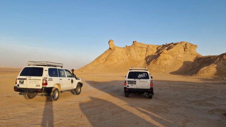 Le Sud de la Tunisie n'est pas seulement une destination de vacances, c'est une invitation au voyage intérieur, une immersion dans une terre de contrastes où le sable doré rencontre l'azur du ciel. Si vous cherchez à rompre avec la routine, à fuir le stress des grandes villes et à vivre une expérience authentique, vous êtes au bon endroit. Chez sudtunisie.com, nous avons fait de la passion du désert notre métier. Que vous soyez à Tunis, Hammamet, Sousse, Monastir, Sfax, Djerba, Gabès, Bizerte, Kélibia ou Korba, nous organisons votre départ pour une aventure qui marquera votre esprit à jamais. Pourquoi choisir un circuit dans le désert tunisien ? Le Sahara tunisien possède cette magie particulière que l'on ne retrouve nulle part ailleurs. Contrairement aux idées reçues, le désert n'est pas un espace vide et monotone. C'est un écosystème vibrant, riche d'une histoire millénaire et d'une culture bédouine restée intacte. En optant pour nos circuits dans le désert, vous ne vous contentez pas de regarder le paysage défiler derrière une vitre ; vous devenez l'acteur de votre propre épopée. Imaginez-vous au sommet d'une dune de sable géante au coucher du soleil, là où les couleurs passent de l'orangé vif au violet profond en quelques minutes. C'est ce silence absolu, seulement rompu par le sifflement du vent, qui rend l'expérience si puissante. Nous mettons un point d'honneur à vous faire découvrir des endroits cachés, loin des sentiers battus du tourisme de masse. Que ce soit en 4x4 tout confort ou lors d'une méharée traditionnelle à dos de dromadaire, chaque kilomètre parcouru est une leçon de beauté. Les incontournables de votre excursion en Tunisie La Tunisie regorge de trésors cachés, et chaque région du sud a sa propre identité. Lors d'une excursion en Tunisie, plusieurs étapes sont absolument obligatoires pour comprendre l'âme du pays. Tozeur et Nefta : Les perles du Jérid Tozeur est bien plus qu'une simple ville-oasis. C'est une cité d'art et d'histoire, célèbre pour son architecture unique en briques d'argile jaune. Se perdre dans les ruelles de la vieille ville, c'est remonter le temps. À quelques kilomètres de là, Nefta et sa célèbre "Corbeille" offrent un panorama verdoyant au milieu de l'aridité. C'est aussi ici que les fans de cinéma trouveront leur bonheur en visitant les sites de tournage de Star Wars. On vous emmène voir Mos Espa, où les décors originaux semblent attendre le retour des Skywalker. Matmata et les maisons troglodytes Le paysage lunaire de Matmata est saisissant. Ici, les habitants ont creusé leurs demeures dans la terre pour se protéger de la chaleur saharienne. Déjeuner dans une maison troglodyte est une expérience à vivre au moins une fois dans sa vie. L'accueil des locaux y est toujours chaleureux, souvent accompagné d'un thé à la menthe et de pain traditionnel trempé dans l'huile d'olive fraîche. Ksar Ghilane : L'oasis au milieu des dunes C'est sans doute l'un des endroits les plus appréciés de nos voyageurs. Imaginez une source d'eau chaude naturelle nichée au pied du Grand Erg Oriental. Après une journée de route ou de marche, se baigner dans ces eaux thermales tout en admirant les dunes qui vous entourent est un luxe pur. C'est le point de départ idéal pour une nuit en campement sous une tente berbère, sous un ciel étoilé d'une clarté incroyable. Randonnée et aventure : Entre montagne et sable Pour ceux qui ont soif d'action et qui veulent ressentir la terre sous leurs pieds, la randonnée en montagne et Sahara est l'option parfaite. Le sud de la Tunisie n'est pas plat ; il est parsemé de reliefs escarpés comme les oasis de montagne de Chebika, Tamerza et Midès. Ces canyons offrent des panoramas spectaculaires où des cascades d'eau fraîche jaillissent miraculeusement des rochers arides. Marcher dans ces gorges, c'est comprendre comment la vie a su s'adapter aux conditions les plus extrêmes. Nos guides expérimentés, qui connaissent chaque recoin de ces montagnes, vous raconteront les légendes locales et vous montreront les fossiles marins qui témoignent qu'ici, il y a des millions d'années, régnait l'océan. La randonnée permet une déconnexion totale. Pas de Wi-Fi, pas de notifications incessantes, juste le rythme de vos pas et les échanges avec vos compagnons de route. C'est une forme de méditation active que nous recommandons vivement à tous ceux qui souhaitent se ressourcer profondément. Pour en savoir plus sur les récits de nos précédents aventuriers, n'hésitez pas à consulter notre blog excursions Tunisie, une mine d'or d'informations et d'inspiration. Une organisation logistique impeccable pour votre tranquillité Nous savons que la réussite d'un voyage tient souvent aux détails logistiques. C'est pourquoi nous avons mis en place un service complet pour faciliter votre arrivée et vos déplacements. Dès votre atterrissage, vous pouvez compter sur notre service de navette aéroport. Que vous arriviez à l'aéroport de Tunis-Carthage, de Monastir ou de Djerba-Zarzis, un chauffeur professionnel vous attendra pour vous conduire directement à votre point de départ ou à votre hôtel. Nous couvrons l'ensemble du territoire tunisien. Que vous résidiez à Bizerte au nord, à Sfax sur la côte est, ou que vous profitiez des plages de Hammamet, Sousse ou Djerba, nous organisons des transferts réguliers pour rejoindre les portes du désert à Douz ou Tozeur. Notre flotte de véhicules est entretenue rigoureusement pour garantir votre sécurité sur les routes parfois escarpées du sud. Des vacances sur mesure et au meilleur prix La question du budget est souvent un frein, mais nous croyons que l'aventure saharienne doit être accessible au plus grand nombre. Nous proposons des formules flexibles qui s'adaptent à vos envies et à votre portefeuille. Que vous recherchiez une expédition de luxe en 4x4 avec hôtels 5 étoiles ou une aventure plus rustique et authentique en bivouac, nous avons la solution. Pour obtenir une offre personnalisée, il vous suffit de demander un devis gratuit pour votre voyage au désert. Nous analysons vos besoins : nombre de personnes, durée du séjour, activités souhaitées (quad, dromadaire, visites culturelles) et nous vous répondons avec une proposition détaillée. Notre objectif est de vous offrir des vacances pas cher en Tunisie sans jamais sacrifier la qualité du service ou la sécurité. L'avis de nos clients : Une garantie de confiance Rien n'est plus parlant que le témoignage de ceux qui ont déjà voyagé avec nous. La satisfaction de nos clients est notre plus grande fierté. Nous vous invitons à consulter les avis sur Sud Tunisie sur TripAdvisor pour découvrir les retours d'expérience de voyageurs venus du monde entier. Qu'il s'agisse de la qualité de nos guides, de la saveur des repas préparés en plein désert ou de la ponctualité de nos chauffeurs, nous nous efforçons d'atteindre l'excellence à chaque étape. Préparez votre sac pour le Grand Sud ! Partir en circuit dans le sud tunisien demande un minimum de préparation. Voici quelques conseils d'amis pour ne rien oublier : Vêtements adaptés : Prévoyez des vêtements légers en coton pour la journée, mais n'oubliez pas une bonne polaire ou une veste pour la nuit. Dans le désert, les températures chutent drastiquement une fois le soleil couché. Protection solaire : Le soleil est puissant, même en hiver. Crème solaire, lunettes de soleil et un bon chèche (le turban local) sont indispensables. Appareil photo : Vous allez voir des paysages que vous voudrez garder en mémoire pour toujours. Assurez-vous d'avoir assez de batterie et de stockage ! Esprit d'aventure : Laissez vos soucis derrière vous et laissez-vous porter par le rythme du désert. Le Sud tunisien est une terre de générosité. On n'en revient jamais tout à fait le même. C'est un voyage qui remet les choses en perspective, qui nous rappelle la beauté simple des éléments et la valeur de l'hospitalité humaine. Que vous veniez pour deux jours ou pour deux semaines, nous mettrons tout en œuvre pour que votre séjour soit une réussite totale. Alors, qu'attendez-vous ? La porte du Sahara est ouverte, et nous sommes prêts à vous faire franchir le seuil. Contactez-nous dès aujourd'hui pour planifier votre prochaine excursion au Sahara et découvrez pourquoi tant de voyageurs tombent amoureux de la Tunisie. Si vous avez la moindre question, n'hésitez pas à remplir notre formulaire de contact ou à nous appeler directement. Nous sommes là pour vous aider à transformer votre rêve de désert en réalité. De Tunis à Gabès, de Kélibia à Korba, l'aventure commence ici, avec nous.