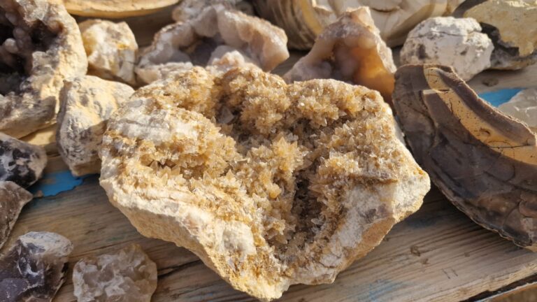 On le sait tous, le rythme effréné du quotidien peut vite nous épuiser. Entre les notifications qui n'en finissent plus, les embouteillages et le stress ambiant, on a tous, à un moment ou un autre, cette envie viscérale de tout couper. De débrancher la prise. Et honnêtement, quel meilleur endroit pour le faire que l'immensité silencieuse du Sahara ? Si vous rêvez d'horizons infinis, de dunes dorées à perte de vue et de nuits étoilées comme vous n'en avez jamais vu, vous êtes exactement au bon endroit. Chez nous, organiser votre circuit et excursion Sahara Sud Tunisie n'est pas juste un boulot, c'est une véritable passion que nous voulons partager avec vous. Nous avons conçu des itinéraires qui vont bien au-delà de la simple balade touristique. Notre but ? Vous faire vivre la Tunisie authentique, celle des nomades, des oasis cachées et des paysages lunaires. Laissez-nous vous guider à travers ce guide complet et découvrez pourquoi votre prochain grand voyage doit absolument se passer ici, dans les sables chauds du sud. De la côte à la dune : Des départs facilités depuis toute la Tunisie L'une des plus grandes galères quand on organise un voyage, c'est souvent la logistique pour se rendre au point de départ. On a pensé à tout pour vous simplifier la vie. Vous n'avez pas besoin de vous casser la tête pour rejoindre le sud : on vient littéralement à vous. Que vous soyez en train de siroter un thé aux pignons dans un café de Tunis, que vous profitiez du soleil sur les plages de Hammamet, Sousse ou Monastir, ou que vous résidiez dans des villes dynamiques comme Sfax et Gabès, nous organisons votre départ. Vous êtes du côté de Bizerte au nord, de Kélibia ou de Korba dans le Cap Bon ? Pas de problème, nos chauffeurs viennent vous chercher. Et bien sûr, si vous atterrissez directement sur l'île des Lotophages, Djerba, l'aventure commence dès votre sortie de l'aéroport. Pour garantir ce confort dès les premières minutes de votre séjour, nous mettons à votre disposition nos services de navette aéroport ultra-fiables. Fini le stress des taxis à négocier à la sortie du terminal ou les bus bondés. Nos véhicules tout-terrain ou nos minibus confortables et climatisés vous attendent de pied ferme pour vous emmener directement vers les portes du grand désert tunisien. Plongez au cœur des dunes : Nos circuits dans le désert Le Sahara ne se visite pas, il se vit. Et pour le vivre pleinement, rien de tel qu'une immersion totale de plusieurs jours. Nos circuits dans le désert sont pensés pour vous déconnecter en douceur de la civilisation et vous reconnecter avec la nature brute. Imaginez la scène : vous êtes à l'arrière d'un 4x4 robuste, conduit par un as du volant qui connaît chaque crête, chaque vallée de sable. Vous franchissez les immenses dunes du Grand Erg Oriental, avec cette sensation incroyable de montagnes russes naturelles, mais dans un décor époustouflant. La couleur du sable change à chaque heure de la journée, passant du jaune pâle le matin à un ocre flamboyant au coucher du soleil. Nous vous emmenons à Douz, la célèbre "porte du désert", où la route goudronnée s'arrête brusquement pour laisser place à l'océan de sable. De là, l'expédition commence vraiment. Nous posons le campement loin de tout. Nos soirées en bivouac sont d'ailleurs des moments que nos voyageurs n'oublient jamais. On s'assoit autour du feu de camp, on partage un repas traditionnel préparé sur place (vous devez absolument goûter la fameuse gargoulette ou le pain cuit sous le sable et les braises), et on écoute le silence. Un silence si profond qu'il en devient presque palpable. Sans aucune pollution lumineuse à des kilomètres à la ronde, le ciel étoilé s'offre à vous dans toute sa majesté. C'est le moment idéal pour refaire le monde avec vos compagnons de voyage, une tasse de thé à la menthe brûlant et bien sucré à la main. Découvrez les trésors cachés : L'incontournable excursion en Tunisie Si vous avez un peu moins de temps ou si vous souhaitez panacher votre séjour avec d'autres découvertes, une excursion en Tunisie d'une ou deux journées est la formule parfaite. Le sud tunisien, ce n'est pas uniquement le sable, c'est une mosaïque de paysages grandioses. Tozeur et Nefta : L'émeraude du Jérid On ne peut pas parler du sud sans évoquer Tozeur et sa gigantesque palmeraie qui compte des centaines de milliers de palmiers-dattiers. Se balader en calèche ou à vélo sous cette canopée rafraîchissante est un vrai bonheur. La vieille ville de Tozeur, avec son architecture unique faite de briques pleines de couleur sable formant des motifs géométriques, est un régal pour les yeux. À quelques kilomètres de là, Nefta et sa célèbre "Corbeille" vous fascineront. Et pour les geeks et amateurs de pop culture, impossible de faire l'impasse sur les décors grandeur nature de Star Wars (Mos Espa) plantés en plein milieu des dunes d'Ong Jmal. L'illusion est totale, on s'attend presque à voir surgir un Jedi ! Le Chott El Jérid : Le lac des mirages Traverser cette immense étendue de sel asséchée est une expérience surréaliste. La route coupe le lac en deux. Selon la lumière et la chaleur, des mirages se forment à l'horizon, brouillant la frontière entre la terre et le ciel. Les cristaux de sel brillent sous le soleil, allant du blanc éclatant au rose pastel. C'est un spot photo absolu, sauvage et poétique. Les villages troglodytes de Matmata et Tataouine Plus à l'est, le paysage devient plus rocailleux et lunaire. Matmata est mondialement connue pour ses habitations creusées directement dans la roche, offrant une climatisation naturelle idéale contre les chaleurs estivales. Nous prenons souvent le temps d'y déjeuner chez l'habitant pour une immersion culturelle totale. Puis, direction Tataouine (oui, la vraie ville qui a inspiré George Lucas) et ses spectaculaires ksour (greniers fortifiés) comme Ksar Ouled Soltane, perchés sur les collines, témoins silencieux du passé berbère de la région. L'effort récompensé : Randonnée entre montagne et Sahara Pour les âmes plus sportives, celles qui ont besoin de sentir la terre sous leurs chaussures de marche, nous avons concocté une expérience hybride fabuleuse : la randonnée montagne et Sahara. C'est un contraste saisissant. D'un côté, la chaîne du Djebel Dahar et les oasis de montagne, de l'autre, le début du Grand Erg. Nous vous emmenons explorer les merveilles géologiques de Chebika, Tamerza et Midès. Imaginez des canyons profonds aux parois vertigineuses, sculptés par l'eau et le temps, au fond desquels jaillissent des sources d'eau claire et des cascades inattendues en plein désert. Marcher dans ces environnements exigeants mais sublimes procure une sensation d'accomplissement unique. Nos guides locaux, véritables enfants du pays, connaissent les sentiers comme leur poche. Ils vous feront découvrir la faune et la flore locales, souvent invisibles pour l'œil non averti, et vous raconteront l'histoire des anciennes populations nomades qui arpentaient ces montagnes. Et après l'effort de la randonnée en altitude, redescendre vers les dunes pour une méharée (randonnée à dos de dromadaire) au rythme lent et chaloupé des vaisseaux du désert est la plus belle des récompenses. C'est une approche lente, respectueuse de l'environnement, le fameux slow travel dont tout le monde parle, mais que nous pratiquons ici depuis toujours. Préparez votre expédition : Conseils, astuces et devis personnalisé Partir dans le Sahara demande un minimum de préparation. On ne s'improvise pas aventurier sans quelques bons tuyaux. Faut-il prendre un gros pull pour la nuit ? (La réponse est un grand oui en hiver !). Quelles sont les meilleures chaussures à emporter ? Faut-il un traitement particulier pour l'eau ? Pour répondre à toutes ces questions existentielles avant le départ, nous avons mis en place un espace dédié où nous partageons notre expertise. N'hésitez pas à fouiller dans notre blog d'excursions en Tunisie. Vous y trouverez une mine d'or d'informations pratiques, des récits de voyage, des conseils pour faire votre sac à dos intelligemment et des anecdotes sur la culture bédouine. C'est l'outil parfait pour commencer à voyager depuis votre canapé. Ensuite, vient l'étape de la concrétisation. Parce que chaque voyageur est unique, avec des envies, un budget et des contraintes de temps différents, nous refusons le "prêt-à-voyager" standardisé. Vous voyagez en couple, en famille avec des enfants en bas âge, ou vous êtes un groupe d'amis à la recherche de sensations fortes ? Nous construisons votre voyage sur mesure. Pour avoir une idée précise du budget de votre escapade de rêve, il vous suffit de nous contacter. Demandez votre devis gratuit pour un voyage au désert en Tunisie. C'est sans engagement, rapide, et cela nous permet de cibler exactement ce qu'il vous faut, de la simple nuit en campement de luxe au trek itinérant de plusieurs jours. La confiance de nos voyageurs : Notre plus grande fierté On pourrait vous écrire encore des pages et des pages sur la beauté de nos circuits, sur le professionnalisme de nos chauffeurs ou la gentillesse de nos guides. Mais on sait bien que de nos jours, rien ne vaut l'avis de ceux qui ont déjà vécu l'expérience. Le bouche-à-oreille 2.0, c'est ce qui fait tourner le monde du tourisme. Nous mettons un point d'honneur à offrir un service irréprochable, sécurisé et profondément humain. La sécurité de nos clients est notre priorité absolue, tout comme le respect des populations locales et de l'environnement fragile du désert. C'est cet engagement quotidien qui nous permet de récolter des retours fantastiques de la part de nos voyageurs. Ne nous croyez pas sur parole, allez plutôt jeter un œil par vous-même ! Nous vous invitons chaleureusement à lire les expériences, les anecdotes et les commentaires de notre communauté. Découvrez ce que les gens pensent réellement de nous en consultant nos avis sur TripAdvisor. Voir nos clients repartir avec des étoiles plein les yeux, des cartes mémoires remplies de photos incroyables et le sourire aux lèvres, c'est concrètement notre plus belle récompense. Leurs témoignages valident notre approche du voyage équitable et authentique. Pourquoi le Sud Tunisien est la destination de l'année Le monde regorge d'endroits magnifiques, c'est vrai. Mais le Sud Tunisien possède cette magie singulière, ce cocktail parfait entre accessibilité, sécurité, dépaysement total et coût abordable. À seulement quelques heures de vol de l'Europe, c'est une porte d'entrée monumentale vers le continent africain et ses mystères sahariens. Contrairement aux idées reçues, le désert ne se limite pas à la monotonie. Il est vivant, changeant, vibratoire. C'est un terrain de jeu exceptionnel pour les photographes, un sanctuaire de paix pour les amateurs de méditation et de yoga, et un vaste terrain d'aventure pour les accros à l'adrénaline en quad ou en buggy. En choisissant de partir avec nous, vous choisissez l'expertise d'une équipe locale, passionnée par sa région. Vous choisissez de ne pas vous soucier de l'organisation fastidieuse des transports, puisque nous assurons les liaisons depuis Tunis, Hammamet, Sousse, Monastir, Sfax, Djerba, Gabès, Bizerte, Kélibia ou Korba. Vous optez pour la tranquillité d'esprit, sachant que chaque détail de votre itinéraire a été testé, approuvé et optimisé pour votre confort et votre émerveillement. Alors, l'appel du large résonne-t-il en vous ? Êtes-vous prêt à laisser vos soucis de côté pour embrasser la grandeur du Sahara ? Ne laissez pas ce projet au fond d'un tiroir. Le moment idéal pour partir, c'est maintenant. Préparez vos lunettes de soleil, votre chèche (foulard traditionnel que l'on vous apprendra à nouer avec style), et laissez-nous vous conduire là où l'asphalte s'arrête et où l'aventure commence véritablement. On a hâte de vous accueillir et de vous faire vivre cette expérience inoubliable. À très vite dans les dunes !