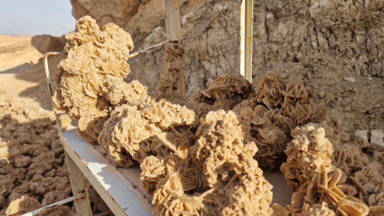 {début article} Circuit et Excursion Sahara Sud Tunisie : Plongez au Cœur de l'Expérience Ultime avec SudTunisie.com Avouez-le, si vous lisez ces lignes aujourd'hui, c'est que l'appel du désert commence à se faire sentir, n'est-ce pas ? On le sait parfaitement, le Sud tunisien n'est pas juste une simple destination de vacances que l'on coche sur une carte. C'est bien plus que cela. C'est une véritable déconnexion, un voyage sensoriel puissant où le silence majestueux du Sahara vient remplacer le brouhaha incessant de notre quotidien. Chez SudTunisie.com, nous avons fait de cette passion dévorante pour les grands espaces notre métier, notre vocation de tous les jours. Que vous soyez un grand aventurier à la recherche d'une expérience riche en adrénaline sur les dunes ou un voyageur en quête d'une retraite spirituelle face à l'immensité dorée, nous avons soigneusement conçu des itinéraires qui sortent résolument des sentiers battus. Notre mission ? Vous offrir la Tunisie authentique, celle qui vibre, celle qui raconte des histoires millénaires. Partir explorer le désert avec nous, c'est avant tout s'assurer d'une organisation millimétrée et sans la moindre faille. Nous voulons que vos vacances commencent dès la seconde où vous posez le pied sur le sol tunisien. C'est exactement pour cette raison que nous facilitons votre arrivée et vos déplacements grâce à nos excellents services de navette aéroport. Ce service exclusif vous permet de rejoindre votre point de départ en toute sérénité et dans un confort optimal. D'ailleurs, nous sommes fiers de pouvoir organiser des départs depuis les quatre coins du pays pour nous adapter à votre emplacement : que vous soyez dans la bouillonnante capitale de Tunis, en train de vous détendre dans les célèbres stations balnéaires de Hammamet, Sousse ou Monastir, ou encore que vous séjourniez dans des villes chargées d'histoire et de charme comme Sfax, la douce île de Djerba, l'oasis maritime de Gabès, ou même plus au nord à Bizerte, Kélibia ou Korba. Nous venons à vous pour vous emmener là où la magie opère. Pourquoi choisir de vivre un véritable circuit dans le désert tunisien ? Le Sahara occupe une place absolument immense dans l'imaginaire collectif. On l'a tous vu dans des films, lu dans des romans d'aventure, mais le vivre en vrai, le ressentir sous ses pieds et sur sa peau, c'est une tout autre histoire. Ce qui rend notre sélection de circuits dans le désert si spéciale, si unique sur le marché, c'est cette incroyable capacité à vous faire passerer des montagnes arides et rocailleuses de l'Atlas aux oasis verdoyantes et luxuriantes en l'espace de quelques kilomètres seulement. La Tunisie a cet avantage incroyable d'offrir l'une des portes d'entrée les plus accessibles, les plus sûres et les plus spectaculairement variées vers l'immensité du Grand Erg Oriental. Ce lien que nous vous invitons à explorer détaille des programmes qui ne sont pas de simples balades touristiques. Imaginez-vous un instant au volant ou à bord d'un puissant 4x4, vos pneus dégonflés pour mieux mordre le sable, franchissant avec souplesse des crêtes de sable doré qui s'étendent à perte de vue. Sentez le vent chaud sur votre visage pendant que vous surfez littéralement sur les dunes de l'Erg. Ou, pour ceux qui préfèrent un rythme plus méditatif, imaginez-vous marchant doucement au rythme régulier et apaisant d'une caravane de dromadaires, exactement comme le faisaient les marchands nomades il y a des siècles. Dans nos circuits sahariens, nous ne nous contentons jamais de vous montrer passivement le paysage derrière la vitre d'un véhicule. Nous vous emmenons à la rencontre vibrante des populations locales. Vous croiserez des familles bédouines, des nomades au sourire sincère qui connaissent chaque étoile du ciel pour s'orienter et chaque secret du vent pour prédire le temps. C'est très honnêtement cette dimension profondément humaine qui fait la force de nos expéditions. Le désert, c'est beau, mais partagé avec ceux qui y vivent, c'est inoubliable. Des excursions en Tunisie du Sud qui marquent une vie Le Grand Sud tunisien ne se résume pas uniquement à une mer de sable sans fin. C'est une mosaïque fascinante de paysages grandioses et de cultures ancestrales. En choisissant de partir pour une excursion en Tunisie avec notre équipe d'experts, vous aurez le privilège de découvrir des lieux emblématiques qui ont marqué l'histoire, façonné les traditions et même servi de décor au cinéma mondial. Tozeur et Nefta : L'éblouissement des perles du Jérid Tozeur n'est pas qu'une simple ville étape, c'est un véritable joyau architectural et naturel. C'est une oasis géante, un miracle vert en plein milieu de l'aridité, célèbre pour ses façades uniques ornées de briques d'argile jaune disposées en motifs géométriques complexes. Sa palmeraie, qui compte des centaines de milliers de dattiers, est un labyrinthe ombragé où il fait bon se perdre à vélo ou en calèche. C'est d'ailleurs très souvent ici, dans cette atmosphère parfumée à la fleur d'oranger, que l'aventure commence. Vous pourrez flâner dans les ruelles étroites de la vieille ville, le quartier de Ouled El Hadef, ou aller admirer la fameuse "Corbeille de Nefta", une dépression naturelle incroyable d'où jaillissaient autrefois des dizaines de sources. Et bien sûr, pour les fans de culture pop et de cinéma, le site de Mos Espa est une étape purement obligatoire. On vous y emmène pour revivre l'ambiance unique d'une galaxie lointaine, très lointaine, en plein cœur des dunes de sable de Ong Jemel. Le décor, resté quasi intact, émerge du sable comme un mirage. Les oasis de montagne : Le triptyque magique de Chebika, Tamerza et Midès Ici, on change radicalement de décor et d'ambiance. Finies les dunes douces, place à la roche brute et spectaculaire. Dans ces montagnes arides bordant l'Algérie, l'eau jaillit de la roche nue de manière presque miraculeuse. Chebika vous charmera avec sa cascade cachée et son ancien village accroché à la montagne. Tamerza vous impressionnera par ses grandes cascades et son village abandonné aux allures fantomatiques après les crues de 1969. Et que dire des canyons de Midès ? Ils offrent des panoramas vertigineux où les strates géologiques racontent des millions d'années d'histoire terrestre. C’est là que l’on comprend véritablement pourquoi la Tunisie est considérée comme une terre de contrastes absolus. L'immersion à Matmata et la découverte des habitations troglodytes La route qui mène au Dahar vous prépare doucement au choc visuel. Le paysage devient lunaire, rocailleux, constellé de cratères. Matmata est saisissante. Ici, depuis des générations, les maisons sont creusées profondément dans la terre pour se protéger de la chaleur écrasante de l'été et du froid perçant de l'hiver. Nous ne faisons pas que passer ; nous vous proposons souvent de vous arrêter, de partager un thé ou même de déjeuner chez l'habitant pour goûter à une cuisine locale généreuse, authentique, très loin des buffets standardisés des grands hôtels. Imaginez-vous savourer un couscous maison, de l'huile d'olive fraîchement pressée et du miel local, le tout au fond d'une cour creusée à plusieurs mètres sous la surface. C’est exactement ce genre de détails savoureux, de petites pépites du quotidien, qui alimente régulièrement les articles passionnants de notre blog d'excursions en Tunisie. Ce blog est une véritable mine d'or où nous partageons avec vous nos meilleurs conseils de voyage, nos coups de cœur et les secrets les mieux gardés de la région. L'appel de l'aventure : Randonnée entre montagne et immensité saharienne Nous avons pleinement conscience que chaque voyageur est unique et que les attentes diffèrent. Certains veulent du confort absolu, d'autres recherchent l'immersion totale, le contact direct avec les éléments. C'est pourquoi nous mettons un point d'honneur à pouvoir personnaliser chaque expérience. Pour ceux qui ont besoin de sentir le terrain sous leurs pieds, de transpirer un peu pour mériter des vues à couper le souffle, notre programme dédié à la randonnée entre montagne et Sahara est l'option absolument idéale. Cette approche permet d'explorer en profondeur les canyons cachés du massif du Dahar, de marcher sur les anciennes pistes caravanières, de visiter des villages berbères perchés comme Chenini ou Douiret qui se fondent littéralement dans la couleur de la roche. La randonnée, c'est prendre le temps. Le temps d'observer un lézard qui file sous une pierre, d'admirer la résilience d'une plante du désert, d'écouter le silence absolu qui vous entoure. Et après l'effort, le réconfort du bivouac sous les étoiles. Si vous rêvez depuis toujours de dormir sous une vraie tente berbère, montée au milieu de nulle part, ou même à la belle étoile avec pour seule source de lumière la voûte céleste et la Voie Lactée éclatante, nous sommes les spécialistes qu'il vous faut. Nos bivouacs sont toujours organisés dans le respect le plus total et le plus strict de l'environnement fragile du Sahara. Le soir venu, autour d'un grand feu de camp crépitant, vous assisterez à la préparation de la "mella", ce fameux pain pétri à la main et cuit directement sous la braise et le sable chaud. Accompagné d'un thé à la menthe fort et sucré, servi selon la tradition des trois tournées, c'est un moment de partage, de rires et de contes magiques où le temps semble définitivement s'arrêter. Pour les plus sportifs d'entre vous, prolonger l'aventure par une randonnée chamelière sur plusieurs jours permet de s'enfoncer encore plus profondément dans les mystères du Grand Erg Oriental, là où même les véhicules les mieux équipés ne peuvent plus passer. C’est uniquement là, dans cet isolement parfait, que l'on ressent véritablement et physiquement l'immensité écrasante du Sahara. Une organisation logistique sans faille pour un voyage en toute sécurité On ne s'improvise pas guide dans le désert. Voyager dans le sud de la Tunisie, s'aventurer dans les dunes ou les pistes rocailleuses du Dahar demande une connaissance parfaite et intime du terrain. C'est là qu'intervient notre grande force. Chez SudTunisie.com, nous travaillons exclusivement avec des guides locaux dûment certifiés, nés dans la région, des chauffeurs de 4x4 ultra-expérimentés capables de lire le sable comme vous lisez un livre, et nous utilisons un matériel de bivouac et de transport d'une fiabilité irréprochable. Votre sécurité est, et restera toujours, notre priorité absolue et non négociable. Nous veillons scrupuleusement à ce que chaque trajet, chaque escale, chaque repas pris en plein air ou chez l'habitant soit une réussite totale. Vous n'avez à vous soucier de rien, on s'occupe de tout. Que vous décidiez de partir de la belle île de Djerba pour une excursion condensée et intense de deux jours, ou que vous planifiiez un grand circuit complet de dix jours au départ de Tunis ou de Hammamet, nous prenons en charge absolument toute la logistique. De votre arrivée grâce à notre service de navette, jusqu'au dernier sourire à votre retour à l'aéroport ou à votre hôtel de bord de mer (que ce soit à Sousse, Monastir, Sfax, Gabès, Bizerte, Kélibia ou Korba), nous sommes constamment à vos côtés en coulisses pour garantir la fluidité de votre séjour. L'authenticité validée par nos voyageurs : Vos avis comptent Nous pourrions vous parler de nos services pendant des heures, mais finalement, ce sont nos clients qui en parlent le mieux. Ils sont, de très loin, nos meilleurs et nos plus sincères ambassadeurs. Nous mettons un point d'honneur à écouter leurs retours, à nous améliorer sans cesse pour frôler l'excellence. Nous vous invitons d'ailleurs très chaleureusement, avant même de prendre votre décision, à aller consulter en toute transparence les avis sur Sud Tunisie laissés sur TripAdvisor. Prenez le temps de lire ces témoignages, de découvrir les anecdotes de ceux qui ont déjà sauté le pas et vécu cette grande aventure avec nous. Leurs mots, leurs photos, leurs sourires à la fin du séjour et les souvenirs impérissables qu'ils ont forgés avec nos équipes sont notre plus belle récompense et notre plus grande fierté professionnelle. Le Sud Tunisien : Une destination fascinante pour toute l'année ? C'est une question très pertinente qui revient souvent dans nos échanges avec vous. Quand faut-il venir ? Bien que l'été soit connu pour être particulièrement chaud dans le bassin saharien (avec des températures qui incitent au farniente à l'ombre des palmiers plutôt qu'à la marche), les saisons idéales pour explorer le sud s'étendent amplement. L'automne, l'hiver et le printemps sont des périodes bénies des dieux. De fin septembre à mai, le climat est un véritable allié. Les températures sont extrêmement clémentes, lumineuses et douces la journée, ce qui permet de profiter pleinement, sans souffrir de la chaleur, de toutes nos activités de plein air, qu'il s'agisse d'un raid en 4x4 ou d'une randonnée montagne et désert. Certes, on ne vous le cachera pas, les nuits en plein cœur de l'hiver (décembre/janvier) peuvent être étonnamment fraîches, voire froides dans les dunes. Mais croyez-en notre expérience, c'est aussi précisément ce contraste thermique qui rend les rassemblements autour du grand feu de camp si agréables, si réconfortants et si propices aux confidences. De plus, en choisissant de voyager dans le Sud de la Tunisie avec une agence comme la nôtre, vous faites un choix éthique. Vous soutenez directement et concrètement une économie locale, circulaire et durable. Nous privilégions toujours les partenariats étroits avec les petits prestataires locaux (chameliers, cuisiniers, guides), les maisons d'hôtes de charme gérées par des familles tunisiennes, et les artisans passionnés des oasis. Votre voyage a un impact positif et contribue directement à la préservation de ce patrimoine culturel et naturel unique au monde. Alors, pour résumer, pourquoi réserver votre aventure avec SudTunisie.com ? Notre Expertise Locale Inégalée : Nous ne sommes pas des vendeurs basés à l'étranger. Nous vivons ici, nous respirons cet air. Nous connaissons chaque piste ensablée, chaque puits caché et chaque famille des villages que nous traversons. Une Flexibilité Totale pour vous faciliter la vie : Nous venons vous chercher là où vous êtes. Départs possibles et réguliers depuis Sousse, Monastir, Sfax, Gabès, Djerba, Bizerte, Kélibia, Korba, Hammamet et bien évidemment la capitale Tunis. Des Prix Justes, Transparents et Compétitifs : Avec nous, il n'y a pas de mauvaises surprises, pas de frais cachés de dernière minute. Nous vous invitons à prendre contact avec nous et à demander dès aujourd'hui votre devis gratuit pour votre voyage au désert. Comparez nos offres, vous constaterez par vous-même le rapport qualité-prix exceptionnel que nous proposons. Une Passion Débordante : Honnêtement, nous ne vendons pas de simples "tours" touristiques à la chaîne. Nous partageons avec vous une tranche de vie, nous vous ouvrons les portes de notre maison, nous partageons notre amour inconditionnel pour notre pays. Le désert a cette force incroyable de changer les gens. C'est un miroir. On y entre souvent avec la tête pleine des soucis du quotidien, avec du stress, avec des questions plein l'esprit, et on en ressort presque inévitablement avec une paix intérieure retrouvée, une humilité nouvelle face à la grandeur de la nature, et les yeux qui brillent. Que vous envisagiez ce périple en famille avec vos enfants pour leur en mettre plein la vue, en couple pour une aventure romantique hors du temps, ou en solo pour un retour à l'essentiel, l'aventure saharienne est une grande étape de vie que tout le monde devrait avoir la chance d'expérimenter au moins une fois dans son existence. Alors, on vous pose la question : qu'est-ce que vous attendez ? Les dunes dorées, les oasis luxuriantes et les nuits étoilées vous attendent déjà. Prenez le temps de naviguer sur notre site, explorez en détail nos différentes et nombreuses options de circuits désert et commencez dès maintenant à vous préparer mentalement à vivre l'extraordinaire. Pour toute question spécifique, pour un ajustement d'itinéraire, ou pour obtenir un conseil 100% sur mesure, toute notre équipe est à votre entière disposition, prête à construire avec vous le voyage de vos rêves via notre page de devis gratuit. Et n'oubliez pas d'aller jeter un coup d'œil régulier à notre blog pour faire le plein d'inspiration, découvrir les coutumes locales et bien préparer vos bagages avant le grand départ. La magie infinie du Sud tunisien n'est plus qu'à un clic, à portée de main. Laissez-nous le privilège de vous guider vers l'horizon, là où la route s'arrête et où la véritable aventure commence.